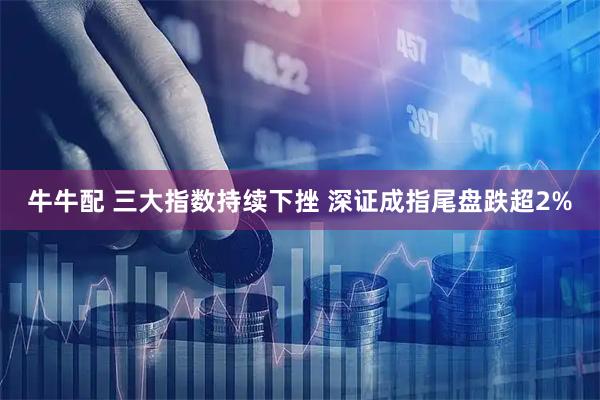 牛牛配 三大指数持续下挫 深证成指尾盘跌超2%